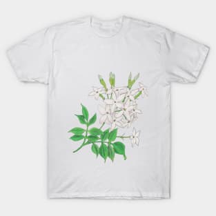 Jasmin T-Shirt